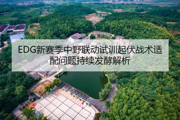 EDG新赛季中野联动试训起伏战术适配问题持续发酵解析
